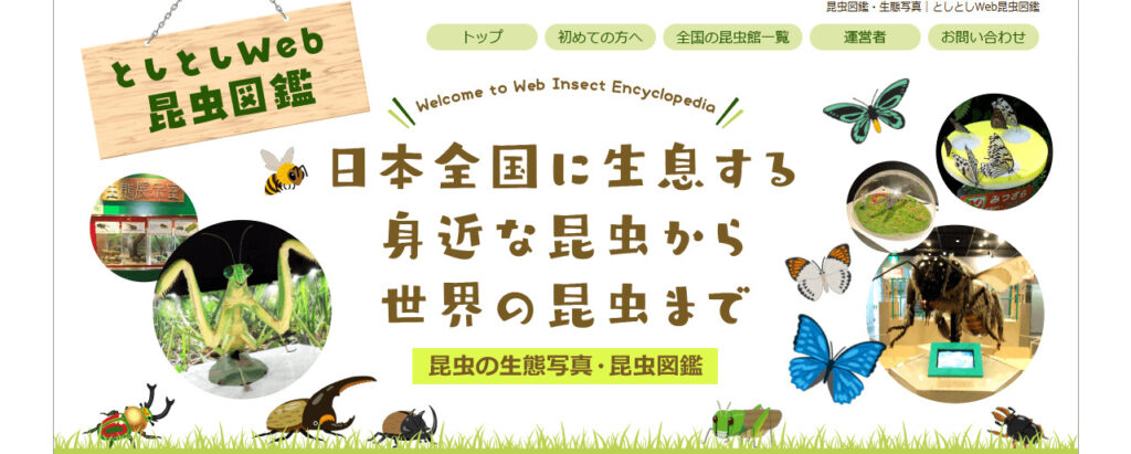 としとしWeb昆虫図鑑